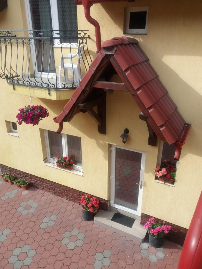 Pensiunea Magnolia Sibiu Extérieur photo