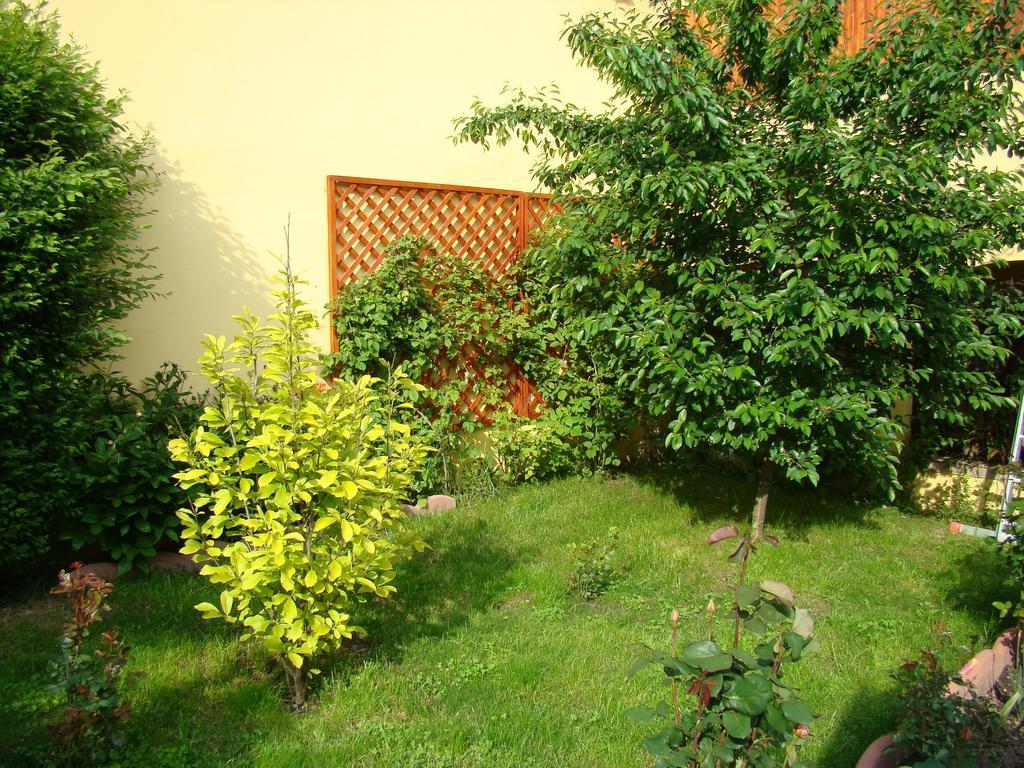 Pensiunea Magnolia Sibiu Extérieur photo