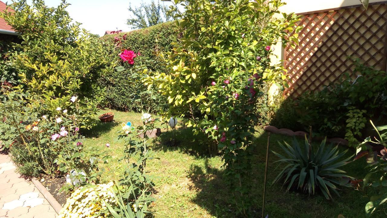 Pensiunea Magnolia Sibiu Extérieur photo